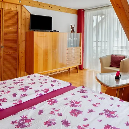 Steeg Apartment